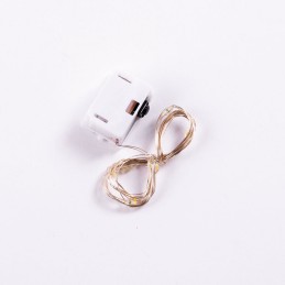 Guirnalda LED Interior 1M [HO-XMAS-030-IP20-1M-WW]