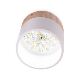 Plafón LED 9W 852Lm Mando a Distancia (Intensidad-CCT) 10.000H [HO-CCT-DL9W]