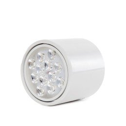 Foco Downlight LED de  Superficie 12W 1123.2Lm 3000ºK 40.000H [HO-DOWNSUP12W-W-WW]