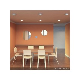 Plafón LED 12W 930Lm 6000ºK Circular 40.000H [GR-MZMD01-12W-CW]