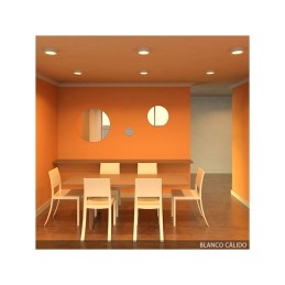 Plafón LED 12W 930Lm 6000ºK Circular 40.000H [GR-MZMD01-12W-CW]