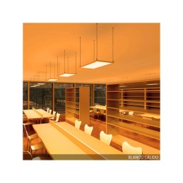 Panel LED 22W 2.100Lm 6000ºK 60x30Cm Marco Blanco 40.000H [HO-PAN30060022W-MB-CW]
