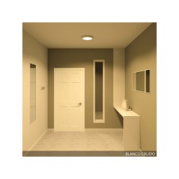 Plafón LED 24W 1.900Lm 6000ºK Circular 40.000H [HO-PLAF-C-24W-CW]