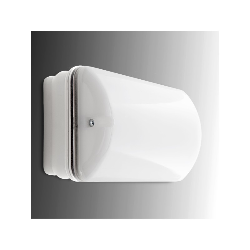 Alumbrado Emergencia LED 100Lm 1 Hora IP65 3.6V 0.8Ah