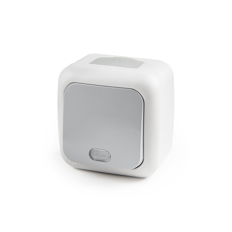 Pulsador Luminoso 10A 250V IP54 Gris