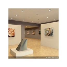 Plafón LED 18W 1.440Lm 6000ºK Circular Cromado 40.000H [GR-MZMD01C-18W-CW]