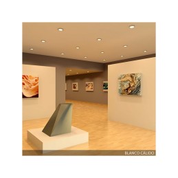 Plafón LED 18W 1.440Lm 6000ºK Circular Cromado 40.000H [GR-MZMD01C-18W-CW]