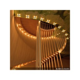 Foco Downlight Empotrable LED 2W 180Lm 6000ºK \"Reagan\" Circular 40.000H [JN-S002-D-CW]