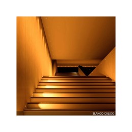 Luz LED Empotrable 2W 180Lm 6000ºK \"Ayla\" Circular Ø36Mm 40.000H [JN-S003-B-CW]