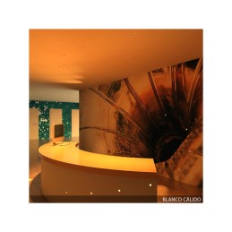 Luz LED Empotrable 2W 180Lm 6000ºK \"Angela\" Circular Ø36Mm 40.000H [JN-S003-C-CW]