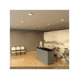 Plafón LED 12W 960Lm 6000ºK Circular 40.000H [GR-RDMZ01-12W-CW]