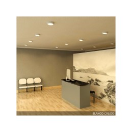 Plafón LED 12W 960Lm 6000ºK Circular 40.000H [GR-RDMZ01-12W-CW]