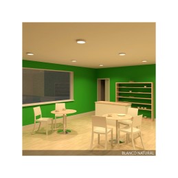 Plafón LED 18W 1.440Lm 6000ºK Circular 40.000H [GR-RDMZ01-18W-CW]