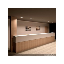 Placa LED 18W 1.450Lm 6000ºK Circular 40.000H [GR-RD-NP-13-CW]