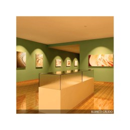 Foco Downlight LED 40W 3.200Lm 6000ºK Circular Orientable 40.000H [HO-COB-OR-40W-CW]