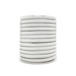 Manguera LED \"Neon Flex\" 8W 200Lm 80LEDs/M 8W/M 24VDC IP66 x1M 40.000H [CR-NEON80-24-R]-Rojo