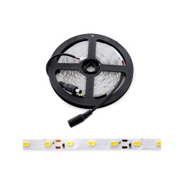 Pack 4 Tiras LED 72W 4200Lm 6000ºK 300 X SMD5050 12VDC x5M 40.000H [PL219009W-PK4-AP]