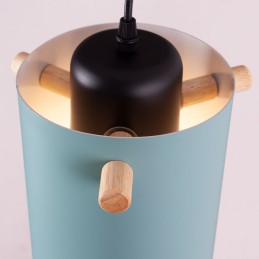 Lámpara Colgante \"Dahlia\"  [SKD-P1011-OG]