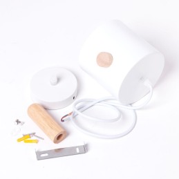 Lámpara Colgante \"Scarlet\"  [SKD-P1014-OG]